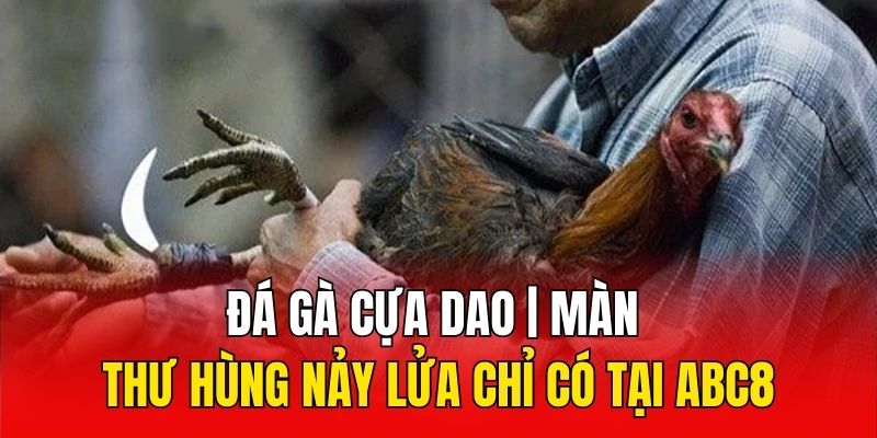 Thumb đá gà cựa dao ABC8