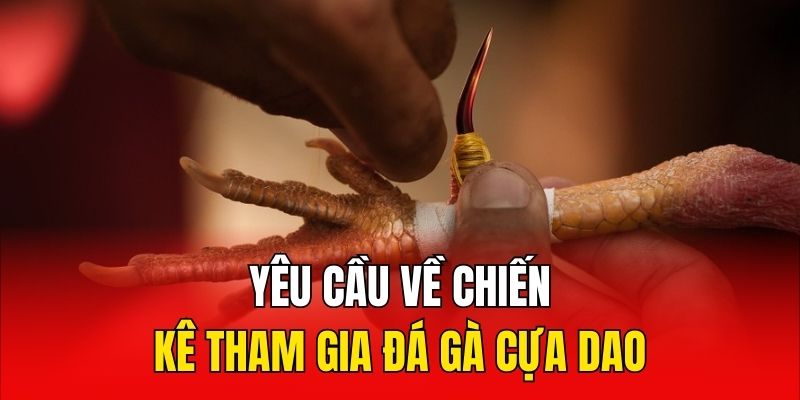 Yêu cầu về chiến kê tham gia đá gà cựa dao