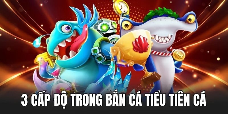 Tổng hợp 3 cấp độ cơ bản trong game nên biết