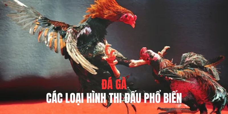 Đa dạng hình thức giúp trò chơi tăng phần kịch tính