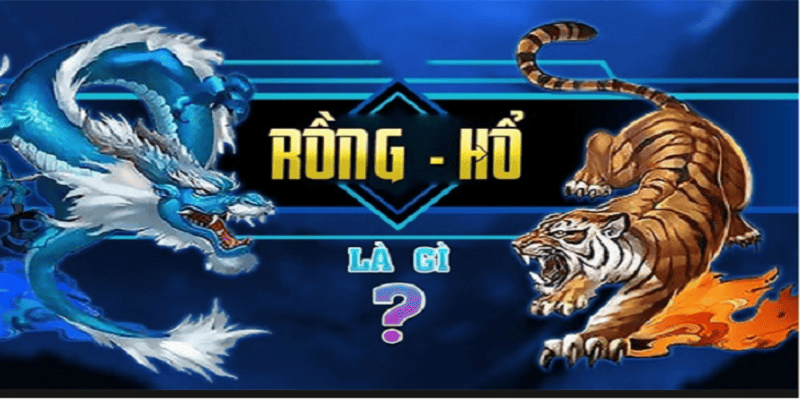 Chi tiết về casino rồng hổ