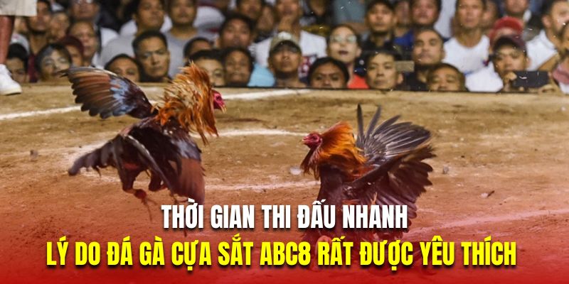 Thời gian thi đấu nhanh là lý do đá gà cựa sắt ABC8 rất được yêu thích 