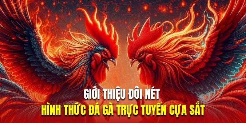 Giới thiệu đôi nét về hình thức đá gà trực tuyến cựa sắt